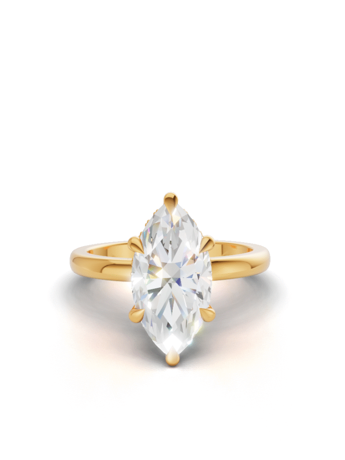 Arya Hidden Halo Engagement Ring