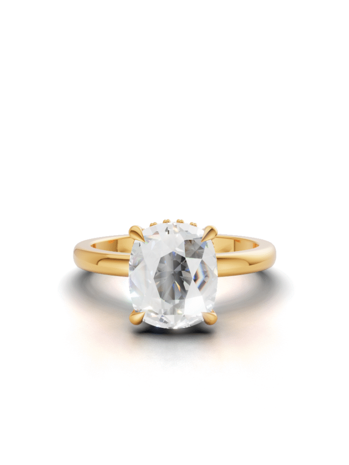 Arya Hidden Halo Engagement Ring