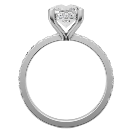 snapshot__29_-removebg-preview